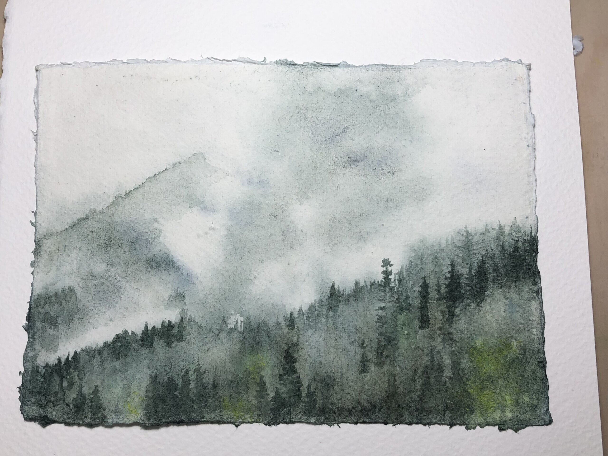 Niebla Matinal - 3